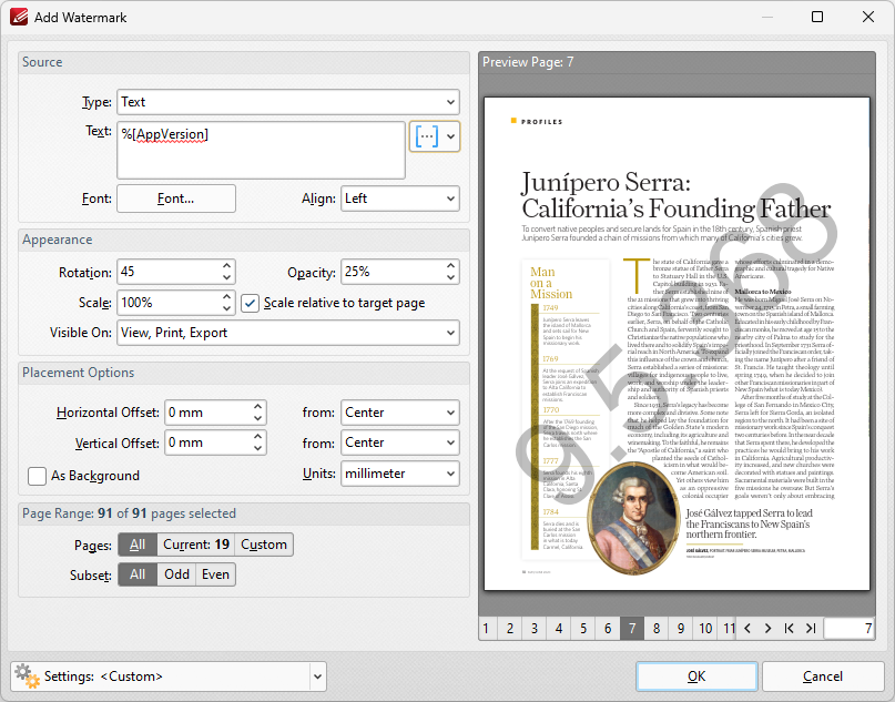 application.version.example