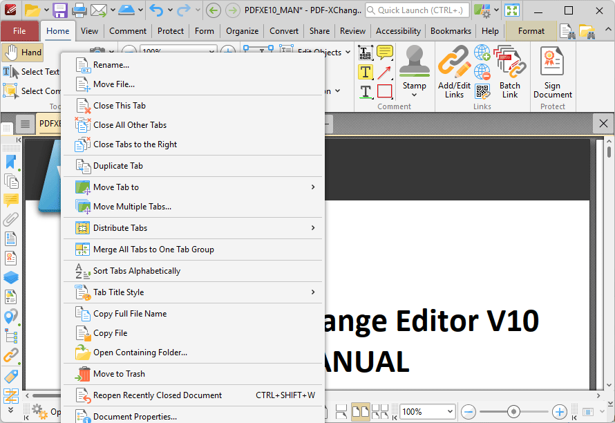 document.tab.options