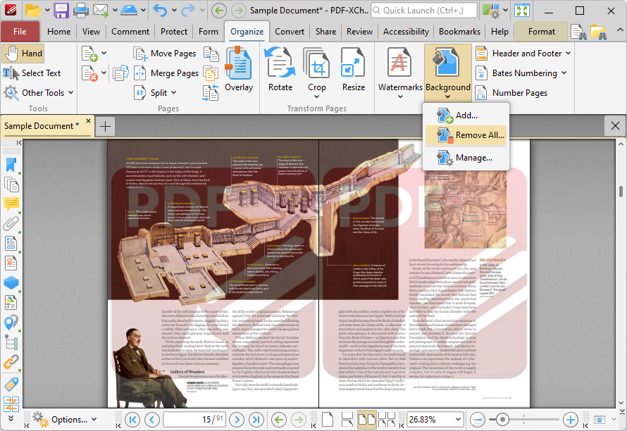 removing.backgrounds