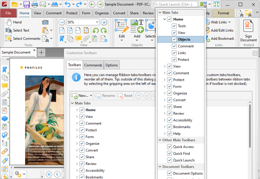 ribbon.tab.right.click.options