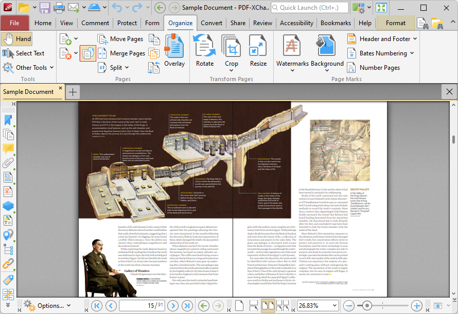 extract.pages.ribbon
