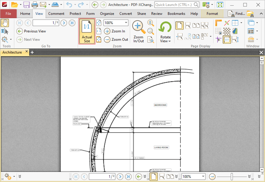 actual.size.location.ribbon