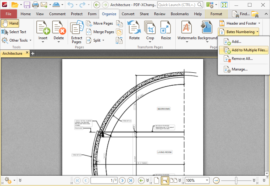 bates.multiple.ribbon