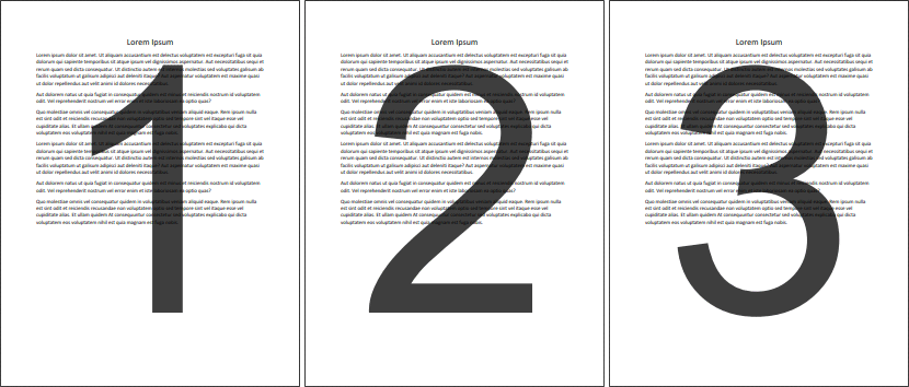 page.number.macro.example