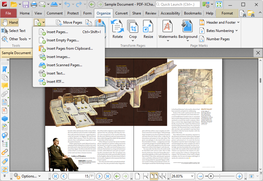 insert.pages.options.ribbon