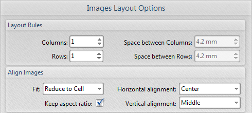 image.layout.options.ribbon