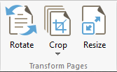 transform.pages.ribbon