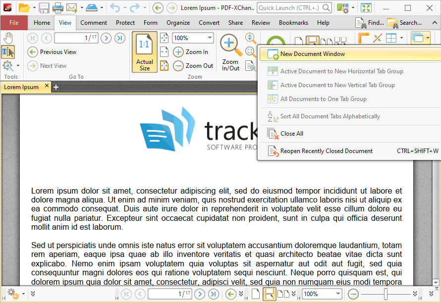 new.document.window.ribbon