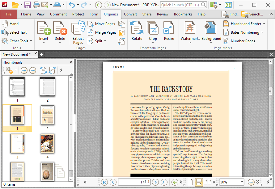 page.numbering.complete